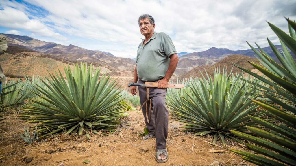 San-Luis-del-Río---Baltazar-Cruz-palenqueros-coqtail