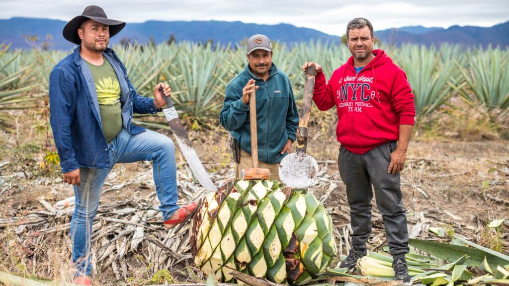 Santa-Maria-La-Pila---Valente-Garcia-palenque-spirits-velier-coqtail