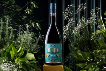 Vermouth-Giacobini-rosso-biologico-coqtail