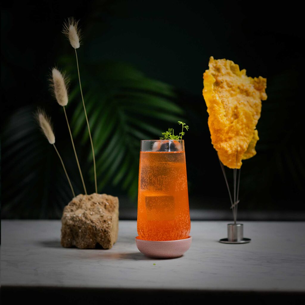 Cocktail-Chips-Coqtail